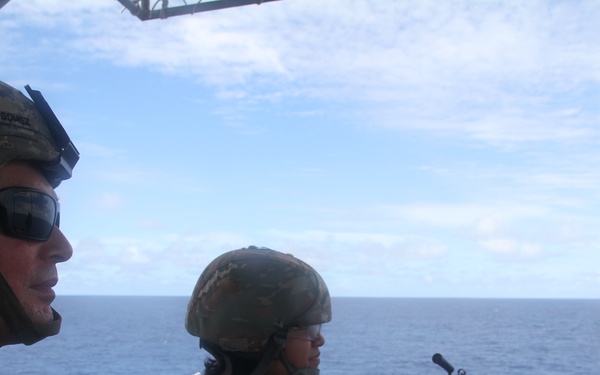 LSV-3 Supports Koolendong 22