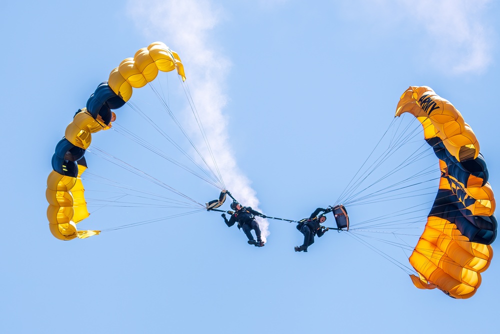 The U.S. Army Parachute Team performs at Selfridge Open House and Air Show