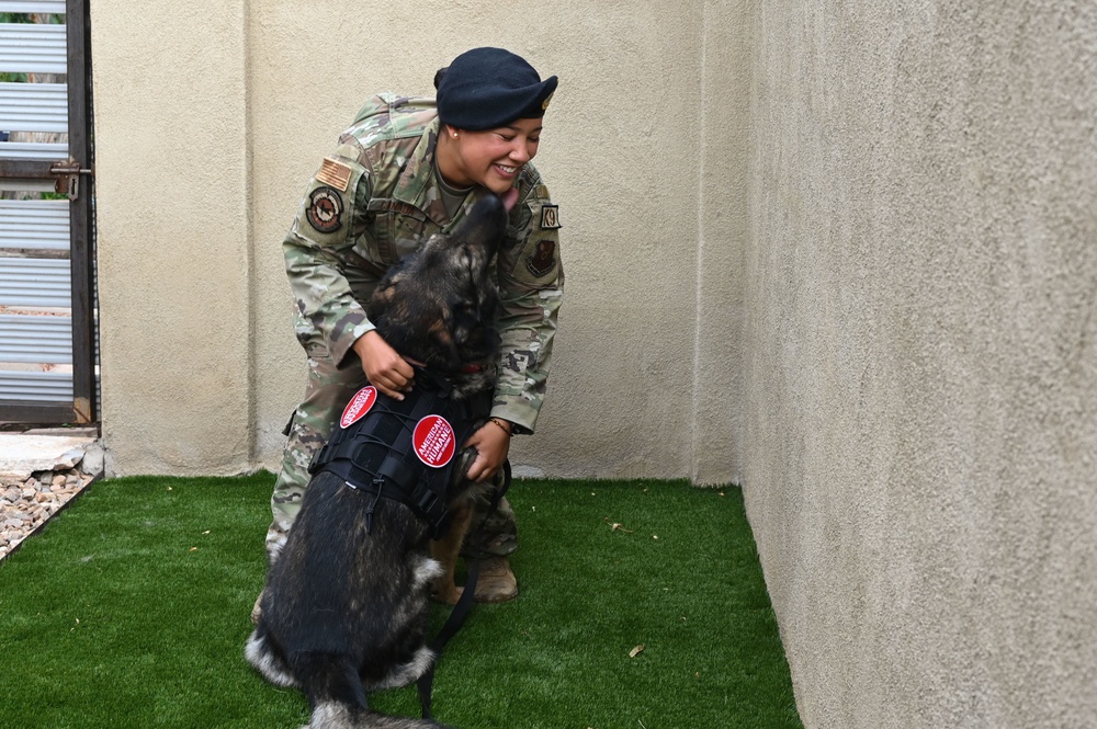 Homeward Bound: A retired MWD’s road to reunion