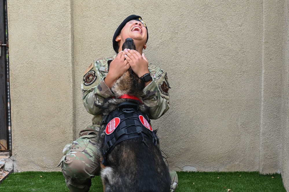 Homeward Bound: A retired MWD’s road to reunion