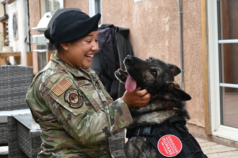 Homeward Bound: A retired MWD’s road to reunion