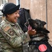 Homeward Bound: A retired MWD’s road to reunion