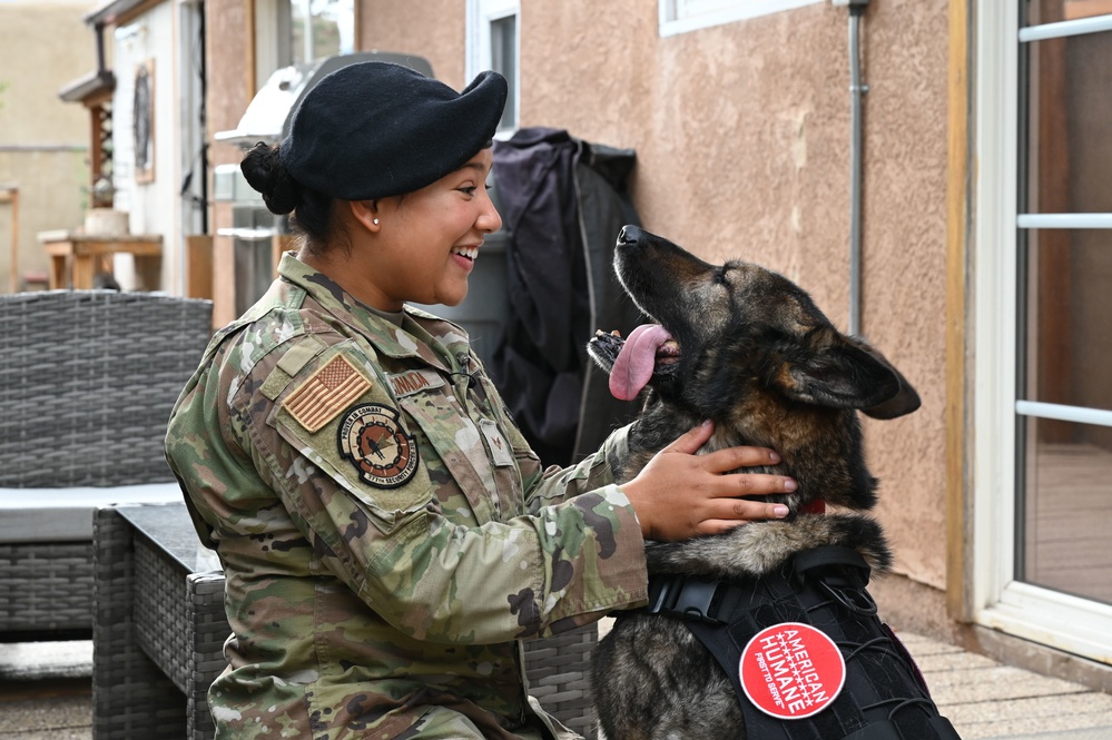 Homeward Bound: A retired MWD’s road to reunion