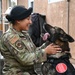 Homeward Bound: A retired MWD’s road to reunion