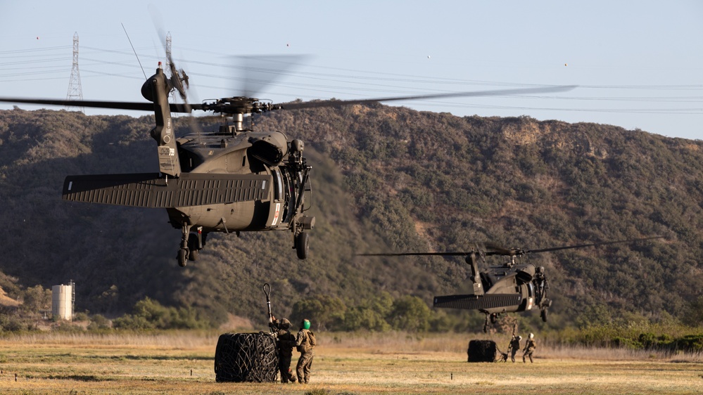 1st LSB and CLB-11 Conduct HST with Army