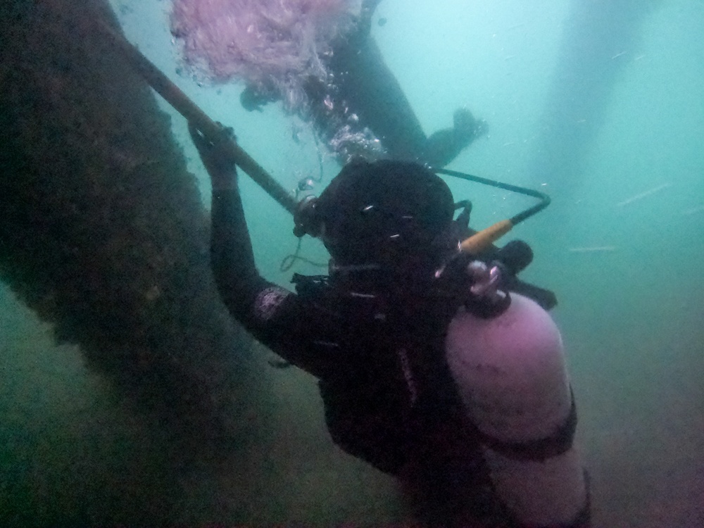 7th Engineer Dive Detachment Training