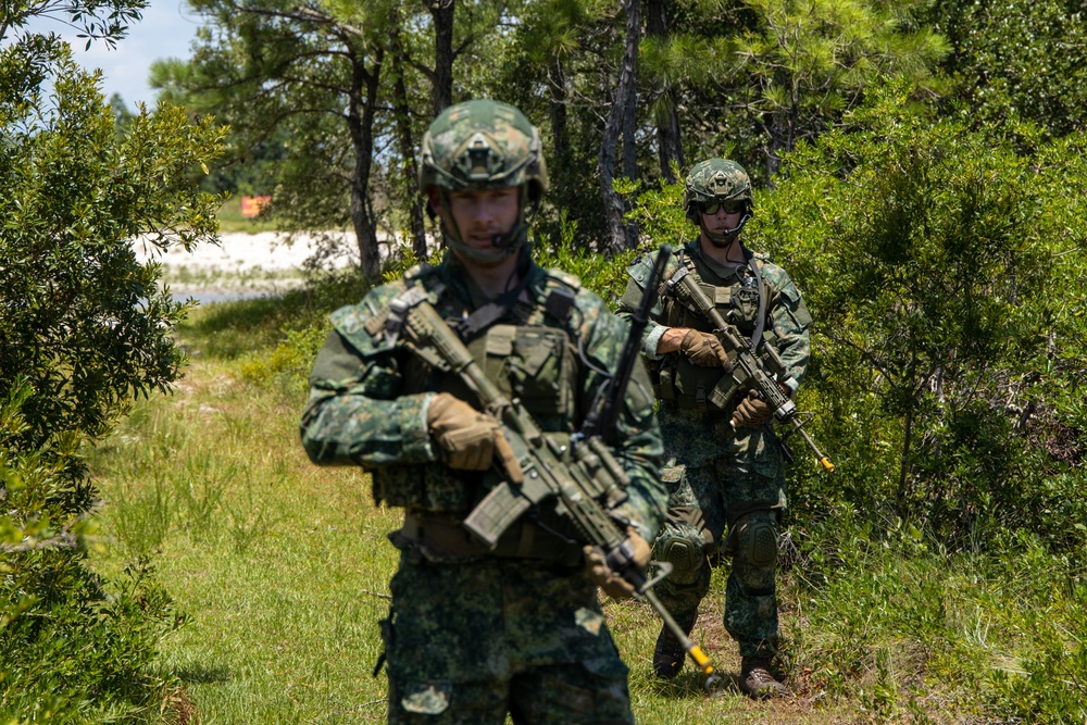 Exercise Burmese Chase: 2nd ANGLICO Conducts Close Air Support Training with Allies