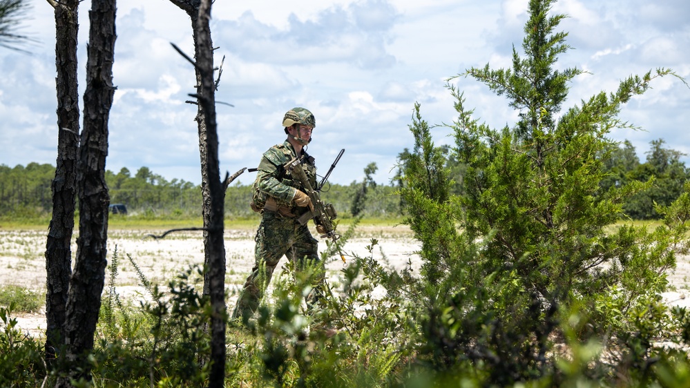 Exercise Burmese Chase: 2nd ANGLICO Conducts Close Air Support Training with Allies