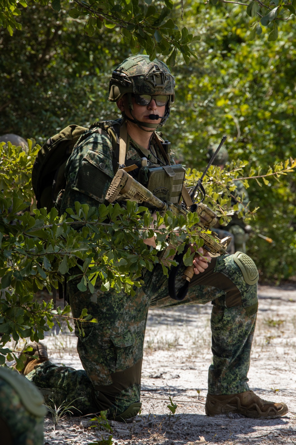 Exercise Burmese Chase: 2nd ANGLICO Conducts Close Air Support Training with Allies