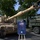 Bad Batch at Eurosatory 2022