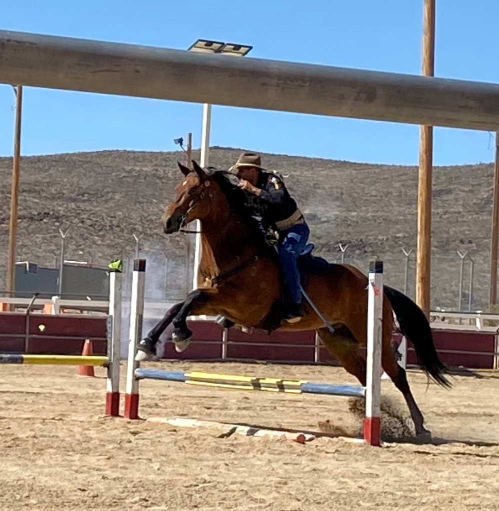 11th Cavalry Shares Living History