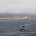 USS Anchorage Conducts ACV Operations