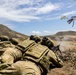 Section Attack Live Fire RIMPAC 2022