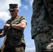 U.S. Marines Conduct Rapid Response Drill