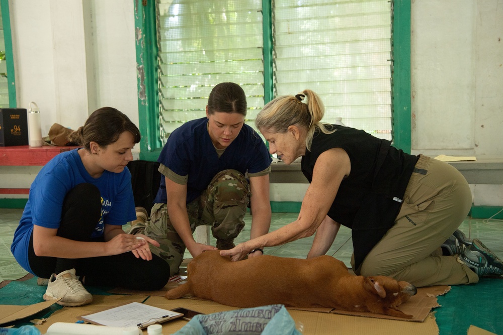 Pacific Partnership 2022 Partners with Palau Animal Welfare Society