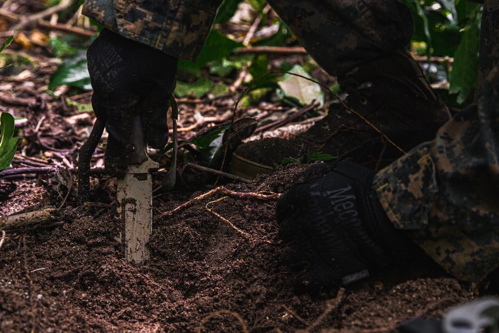 Sweeping for UXO Remnants | Task Force Koa Moana 22