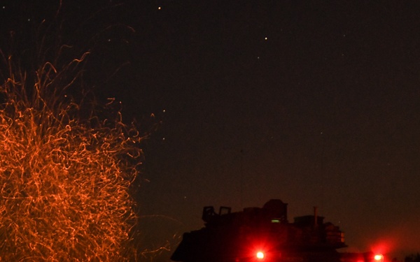 1-3ID conducts night LFX