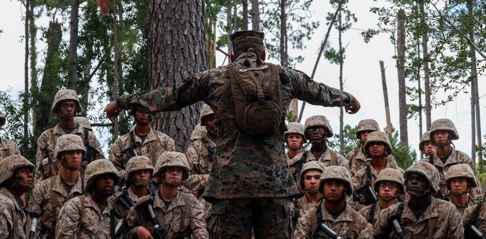 Charlie Company Basic Warrior Training