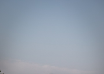 20th CBRNE Best Warrior &amp; Best Squad Competition