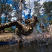 USAFA Basic Cadet Training Class of 2026 Obstacle Course