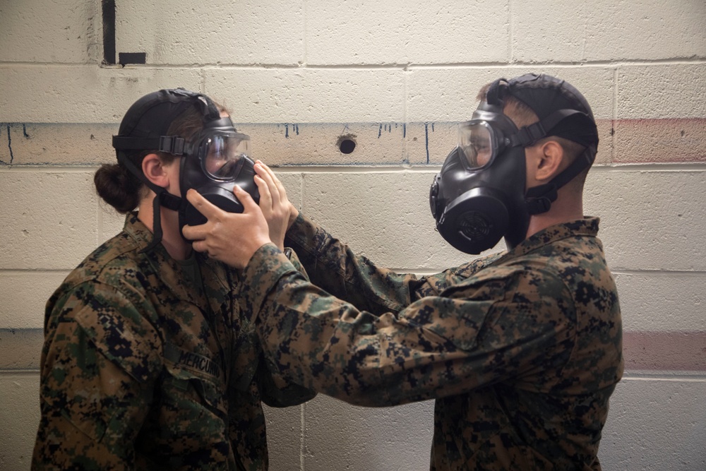 NROTC Midshipmen Summer Training Individual Protective Equipment Confidence Exercise