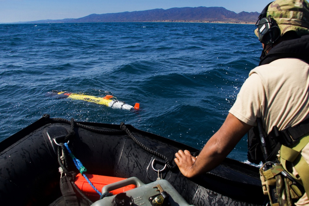 RIMPAC 2022 Southern California REMUS 100 Exercise