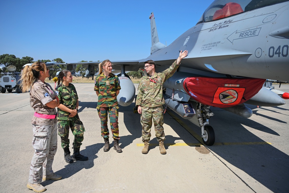 Members from SaberNation engaged with NATO partners to help maintain joint readiness at Real Thaw 22