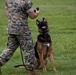 Military Working Dog Demo