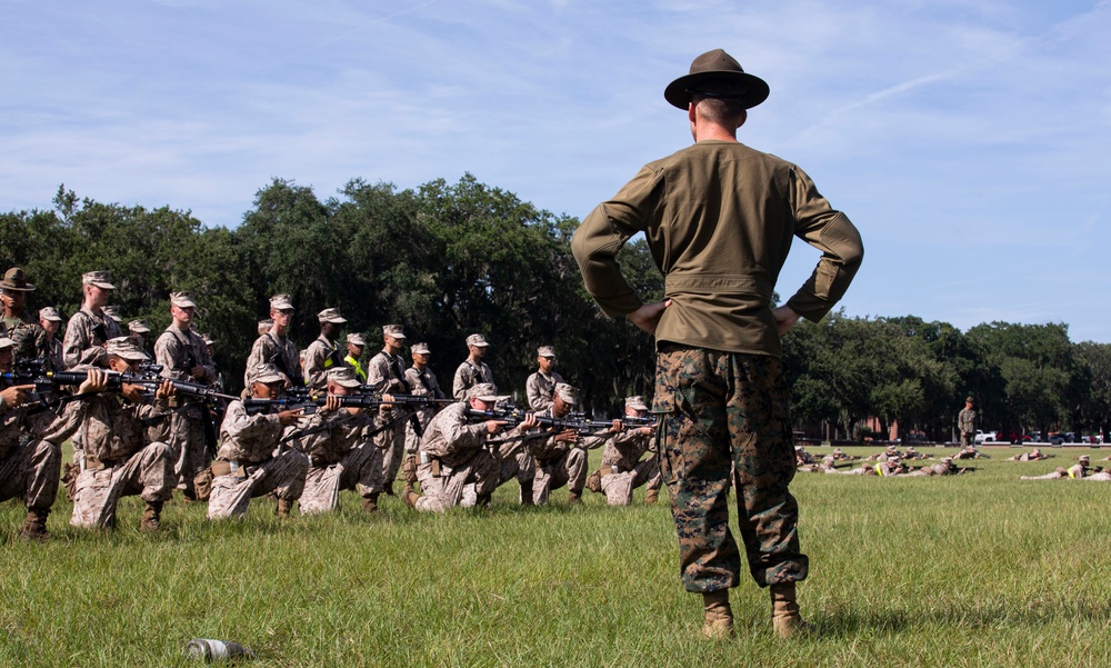 Delta Company Grass Week