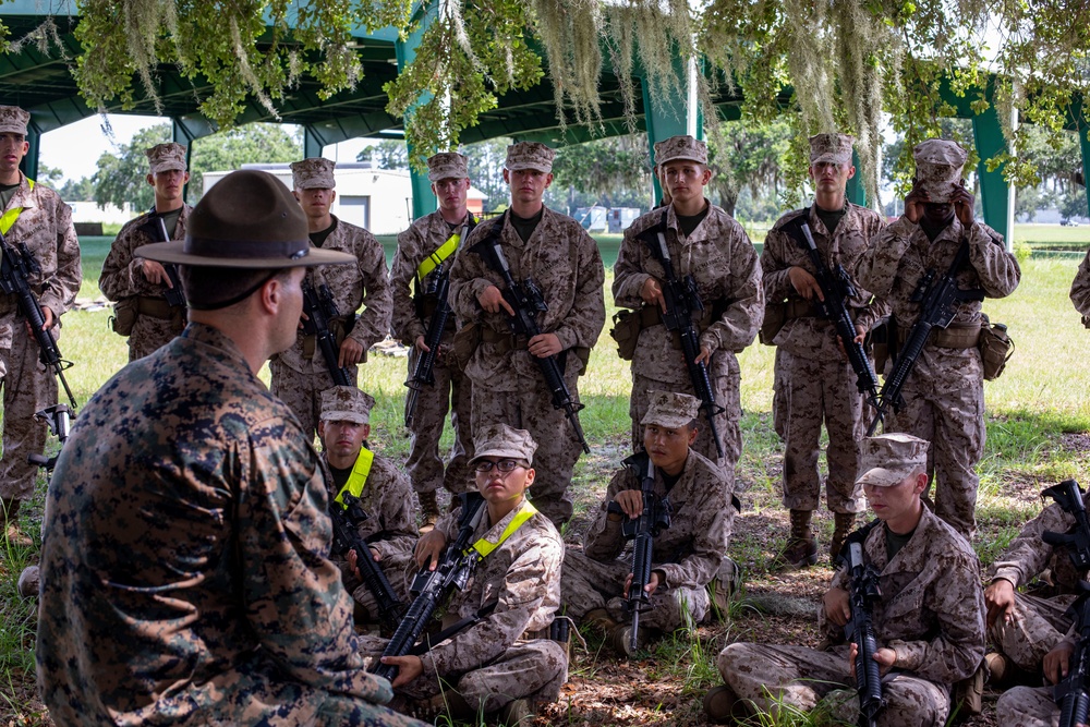 Delta Company Grass Week