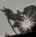 Charlie Company 69th Infantry training  at Fort  Drum
