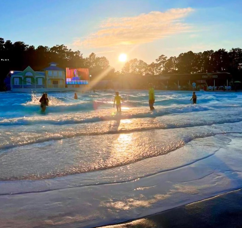 Wasp Families Play at Ocean Breeze