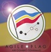 ACC to certify first lead wing at AGILE FLAG 22-2