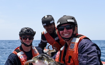 U.S. Coast Guard Cutter Mohawk rescues sea turtles in the Atlantic Ocean