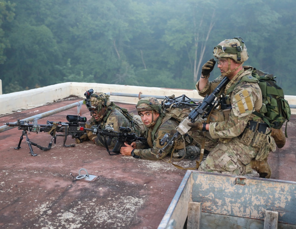 Rooftop soldiers