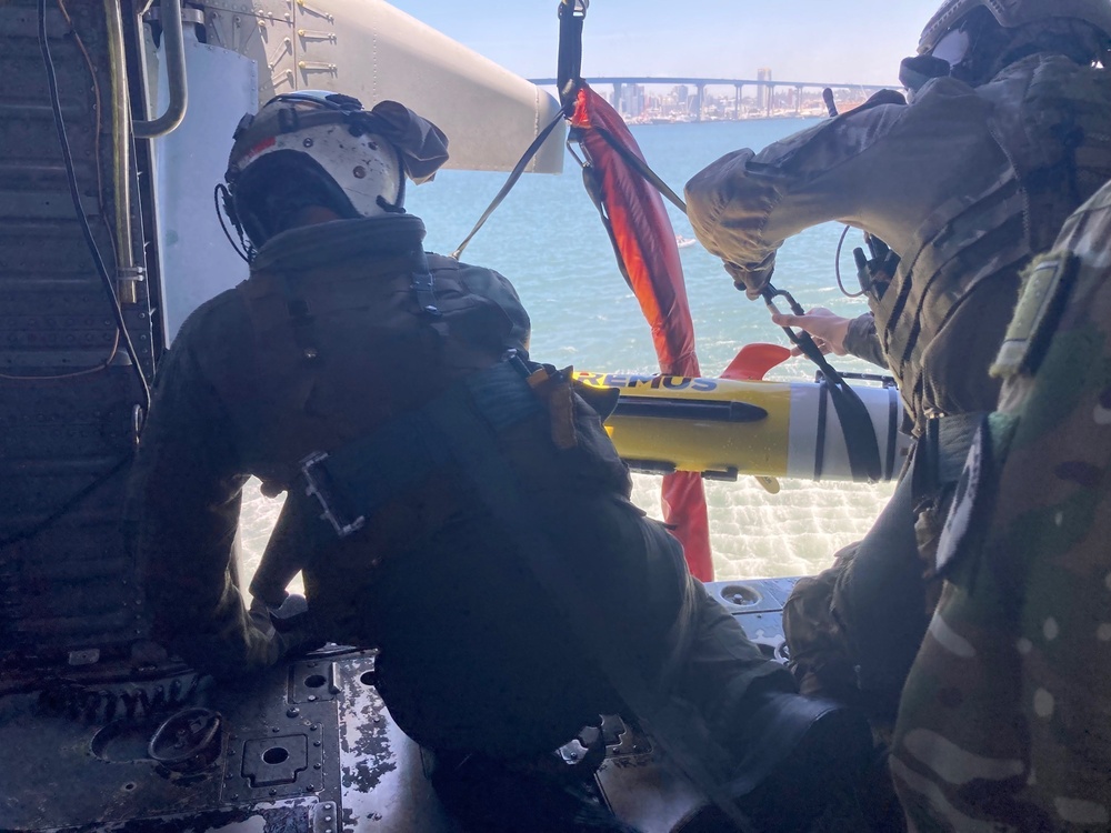 Partner-Nation Service Members Train on REMUS 100 AUV