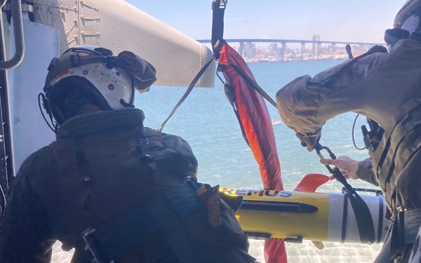 Partner-Nation Service Members Train on REMUS 100 AUV