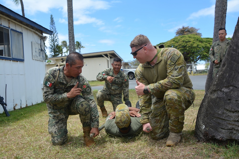 Multinational Partners Practice Tactical Medicine practice at RIMPAC 2022