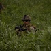 Marines with 9th ESB conduct counter IED training