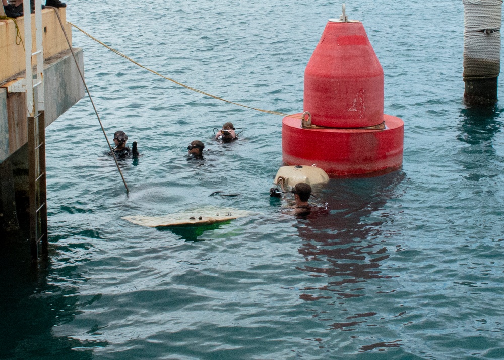 US Coast Guard, Navy and Republic of Korea Navy participate in dive demonstrations