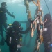 RIMPAC 2022: US, ROK Divers train together