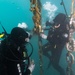 RIMPAC 2022: US, ROK Divers train together