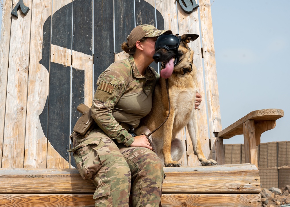 Military Working Dogs of Chebelley Airfield Military Working Dogs of Chebelley Airfield