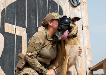 Military Working Dogs of Chebelley Airfield
