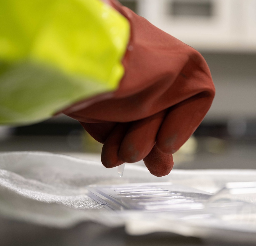 Bioterrorism/Disaster Education and Awareness Month