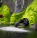 Bioterrorism/Disaster Education and Awareness Month