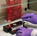Bioterrorism/Disaster Education and Awareness Month