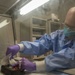 Bioterrorism/Disaster Education and Awareness Month