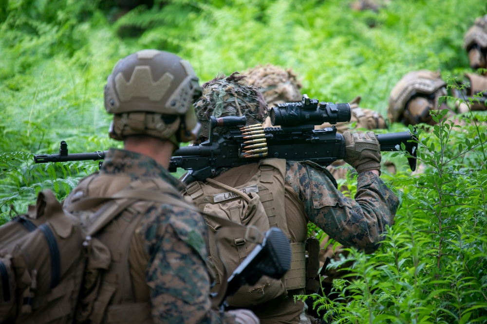 22nd MEU BLT CRUSHes live-fire exercise in Jægerspris, Denmark