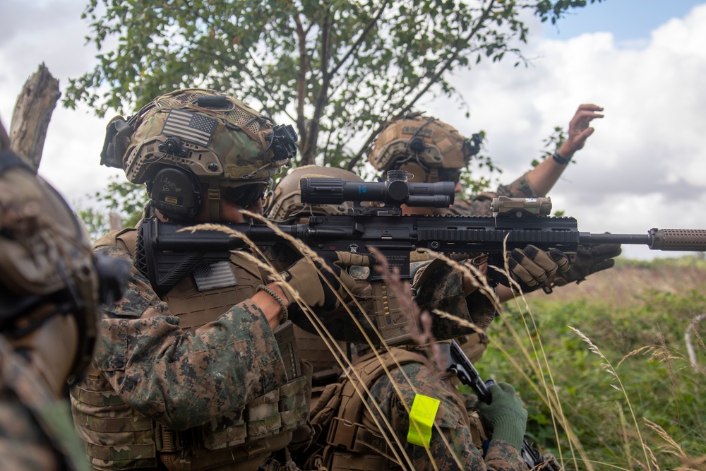 22nd MEU BLT CRUSHes live-fire exercise in Jægerspris, Denmark